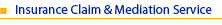 Insurance Claim & Mediation Service
